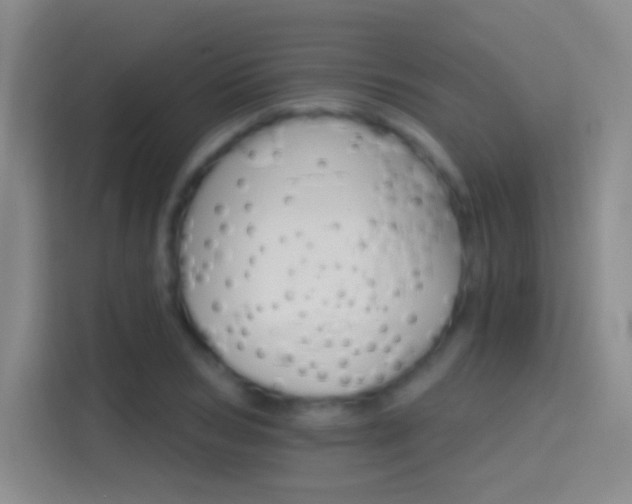 X0000114400978200910231106