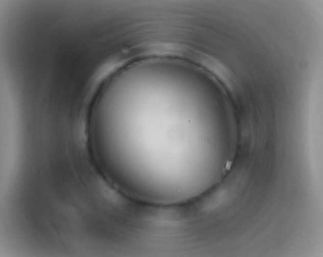 X0000114400979200910231106