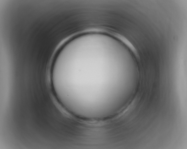 X0000114400980200910231106