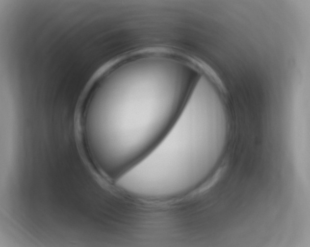 X0000114400981200910231106