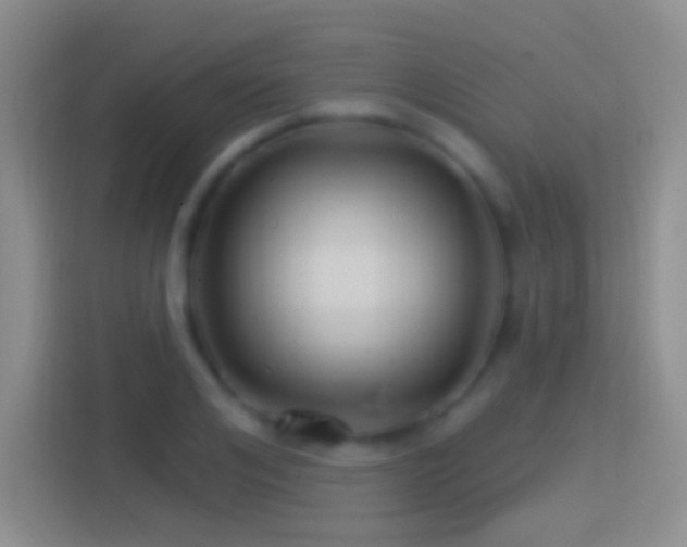 X0000114400984200910231106