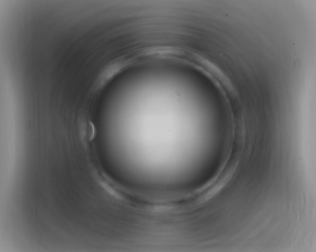 X0000114400985200910231106