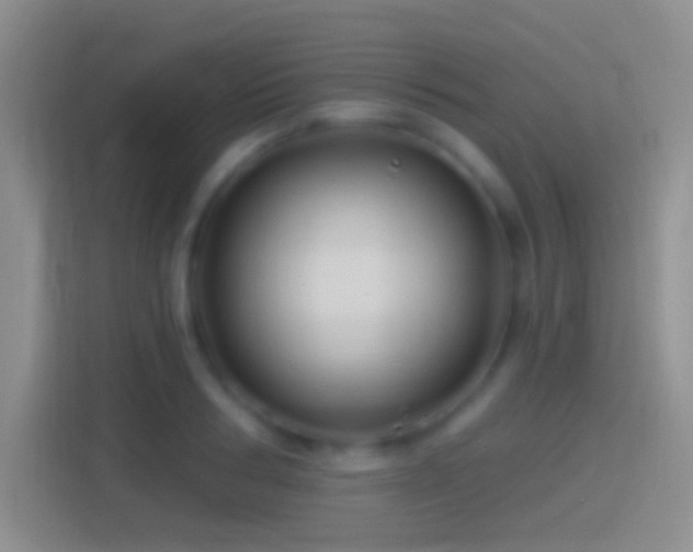 X0000114400986200910231106