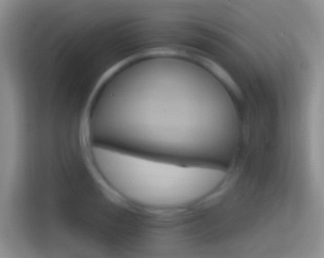 X0000114400988200910231106