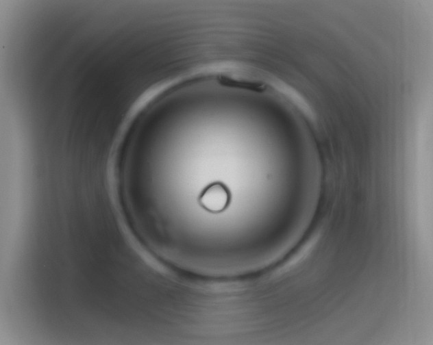 X0000114400989200910231106