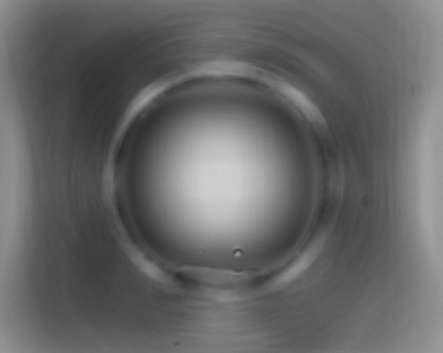 X0000114400990200910231106