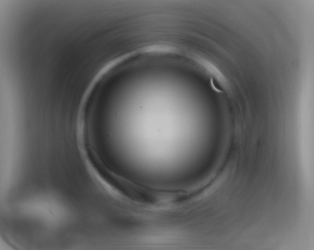 X0000114400992200910231106