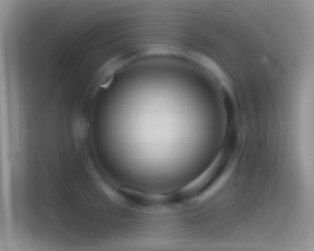 X0000114400993200910231106