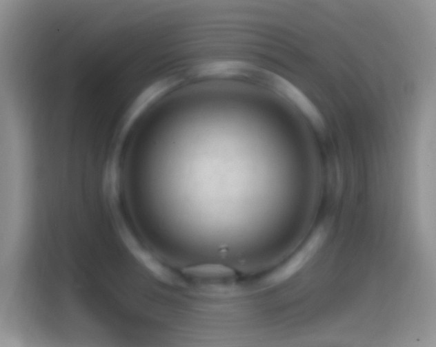 X0000114400994200910231106