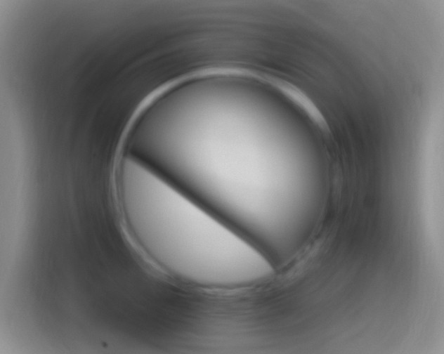 X0000114400996200910231106