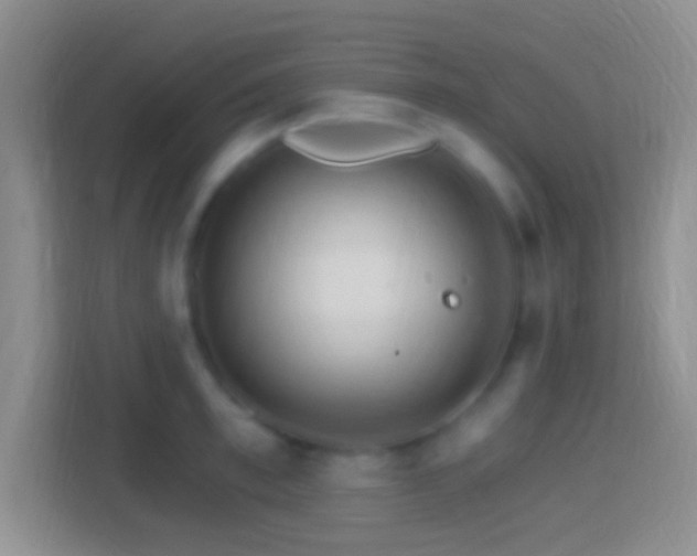 X0000114400997200910231106