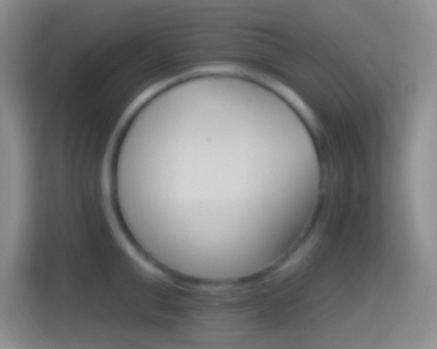 X0000114400999200910231106