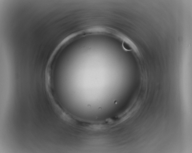 X0000114401000200910231106