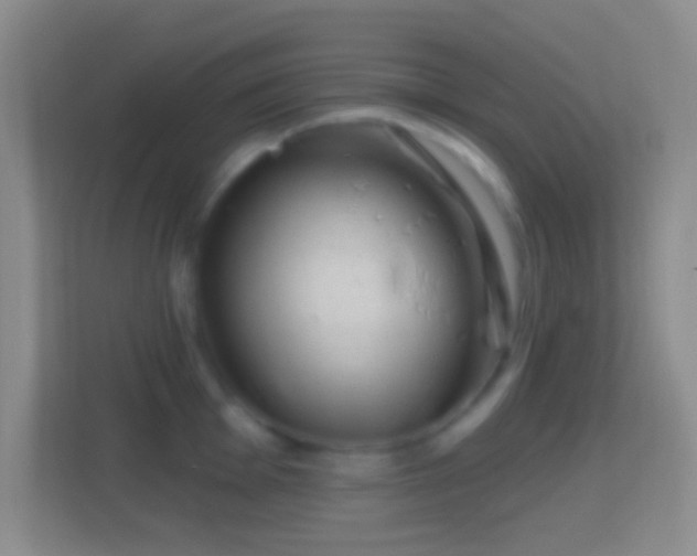 X0000114401001200910231106