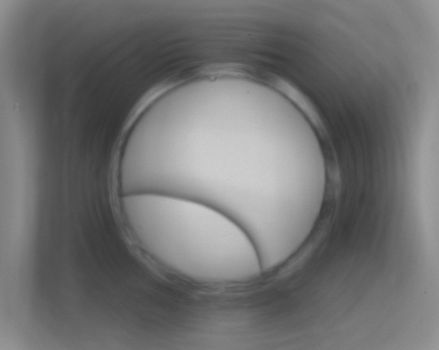 X0000114401002200910231106