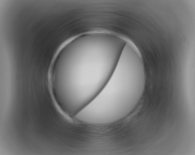 X0000114401003200910231106