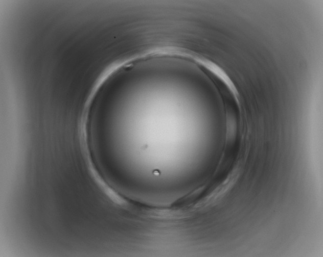 X0000114401005200910231106