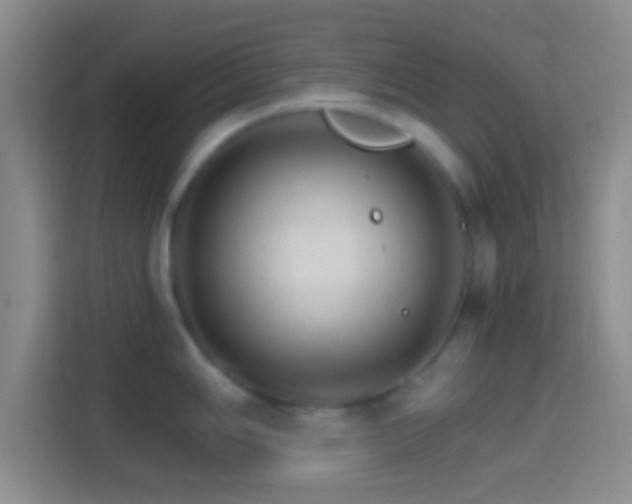 X0000114401006200910231106