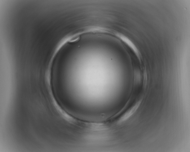 X0000114401007200910231106