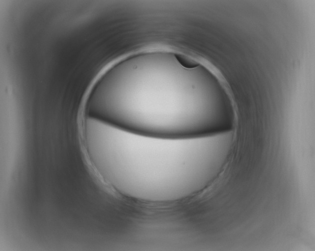 X0000114401008200910231106