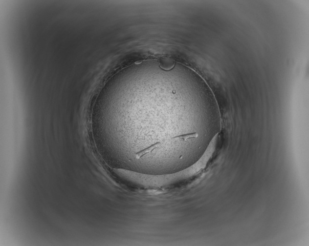 X0000114401009200910231105