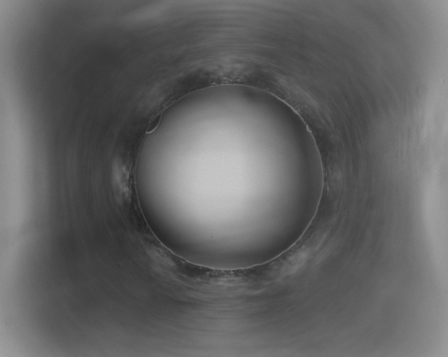 X0000114401010200910231105