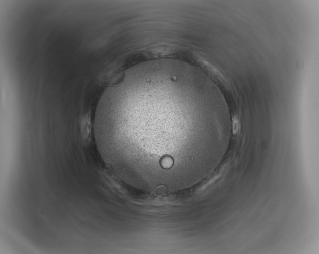 X0000114401011200910231105