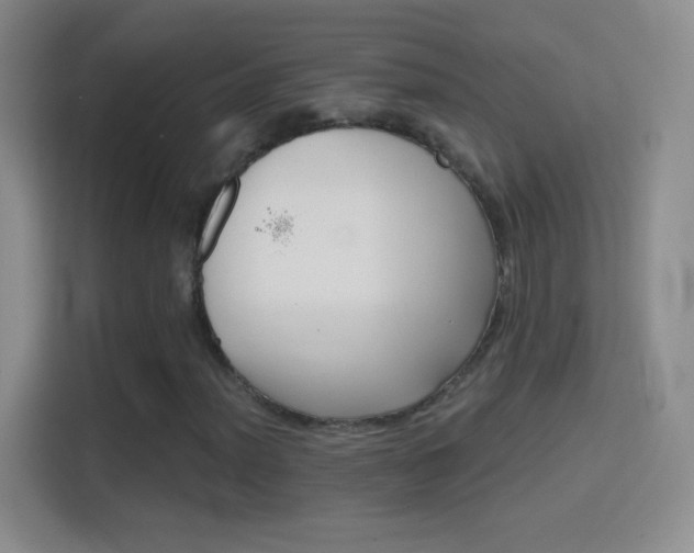 X0000114401012200910231105