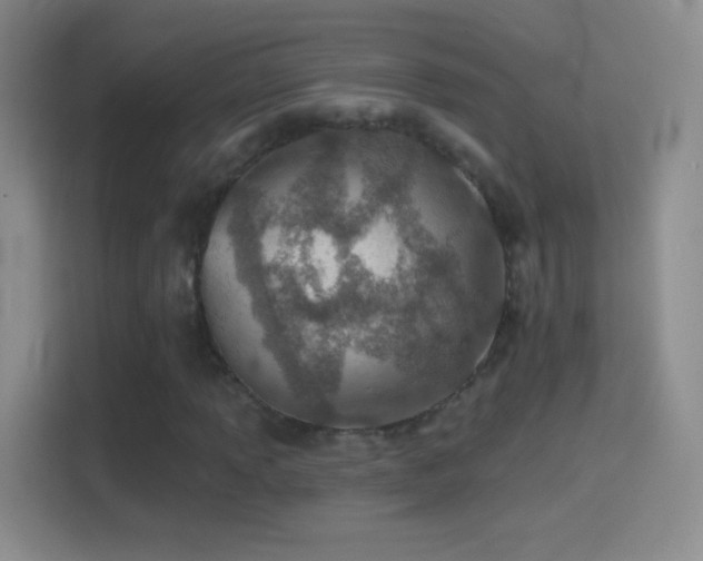 X0000114401013200910231105