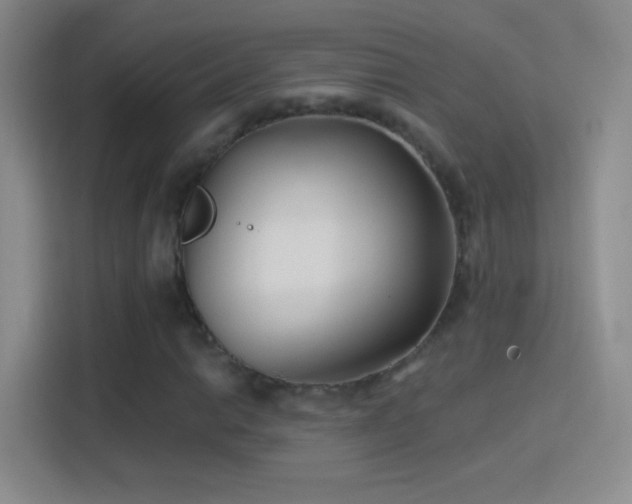 X0000114401014200910231105