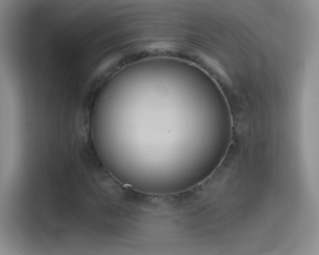 X0000114401015200910231105