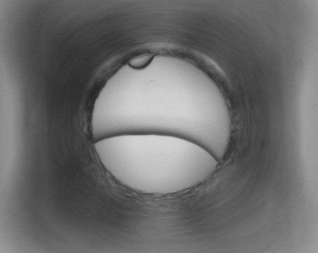 X0000114401016200910231105