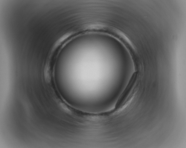 X0000114401018200910231105