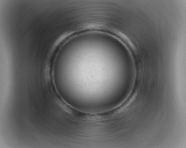 X0000114401019200910231105