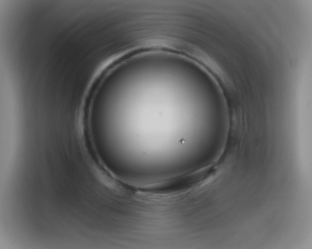 X0000114401020200910231105