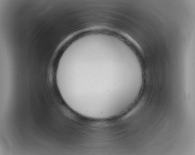 X0000114401021200910231105