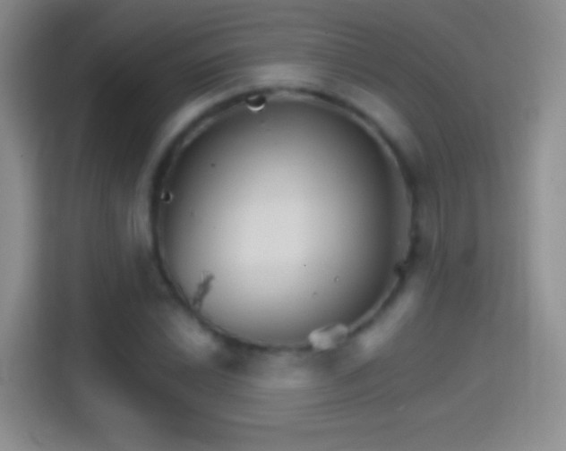 X0000114401022200910231105