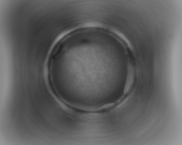 X0000114401024200910231105