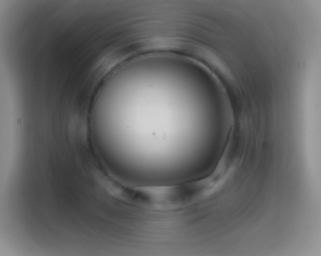 X0000114401025200910231105