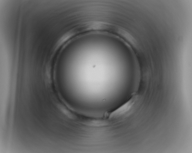 X0000114401026200910231105