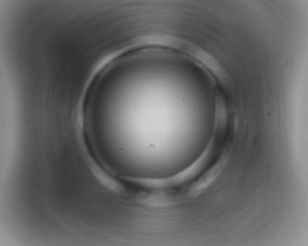 X0000114401028200910231105