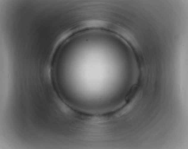 X0000114401029200910231105