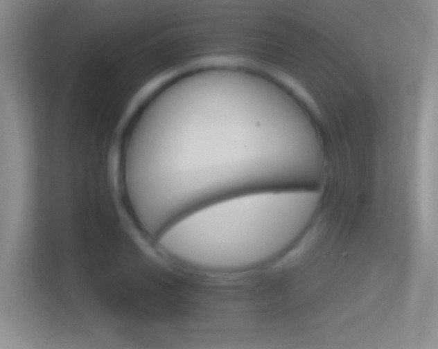 X0000114401030200910231105