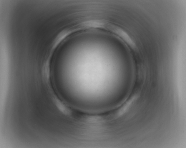 X0000114401031200910231105