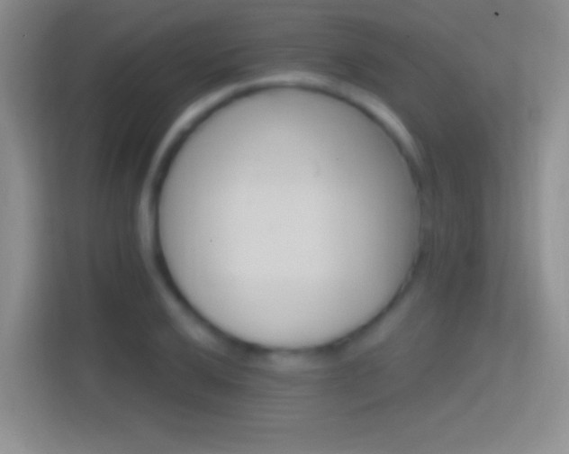 X0000114401032200910231105