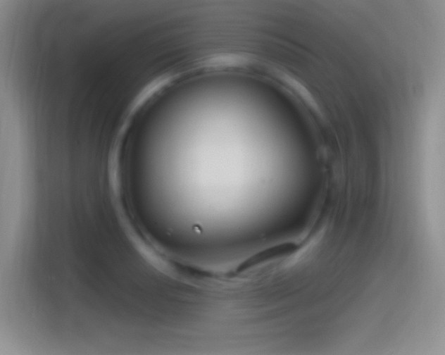 X0000114401034200910231105