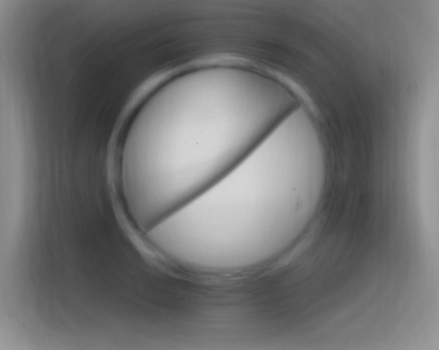 X0000114401038200910231105