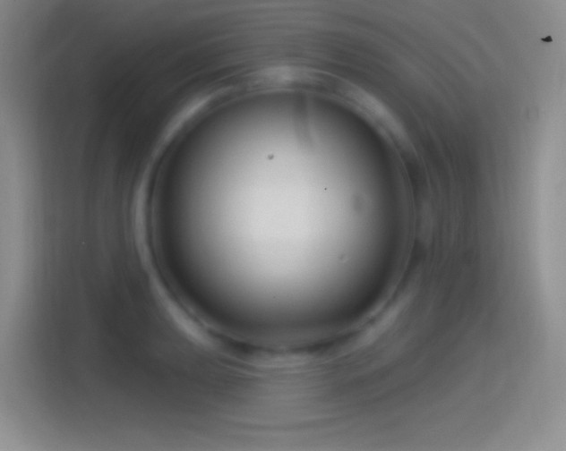 X0000114401039200910231105