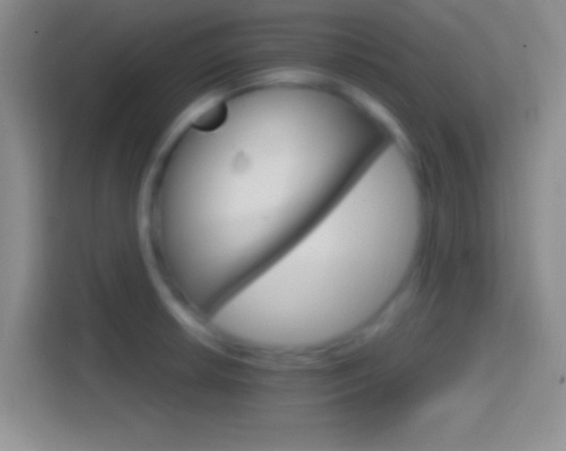 X0000114401042200910231105