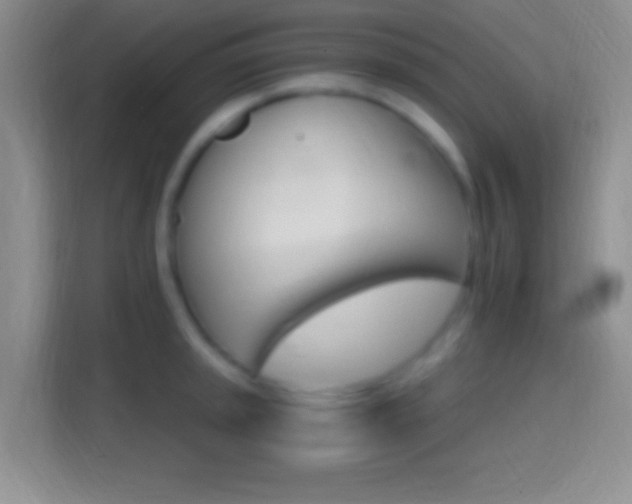 X0000114401045200910231105